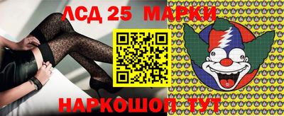 спайс Кингисепп