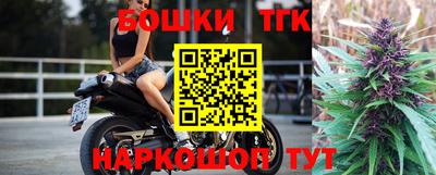 спайс Кингисепп