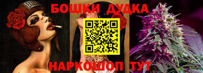 спайс Кингисепп