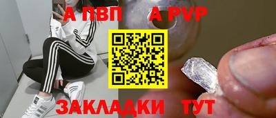 спайс Кингисепп